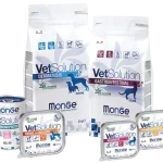Monge Vetsolution