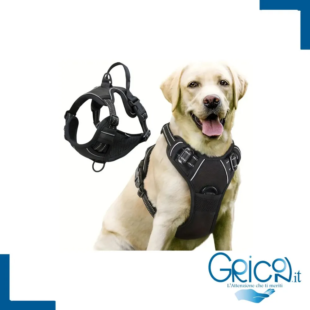 Pettorina per Cane in Nylon
